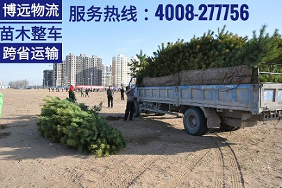 長沙至河南開封8噸植物跨省運(yùn)輸.jpg 長沙至河南開封8噸植物跨省運(yùn)輸.jpg